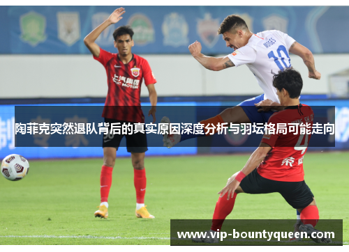 陶菲克突然退队背后的真实原因深度分析与羽坛格局可能走向