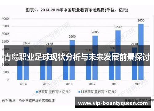 青岛职业足球现状分析与未来发展前景探讨