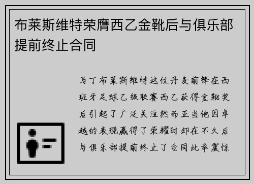 布莱斯维特荣膺西乙金靴后与俱乐部提前终止合同