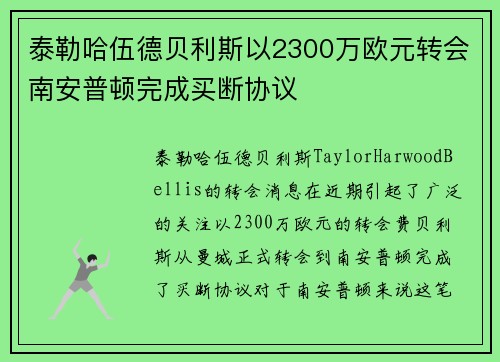 泰勒哈伍德贝利斯以2300万欧元转会南安普顿完成买断协议
